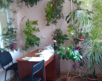 84449172_1494882464012115_975046713943261184_o